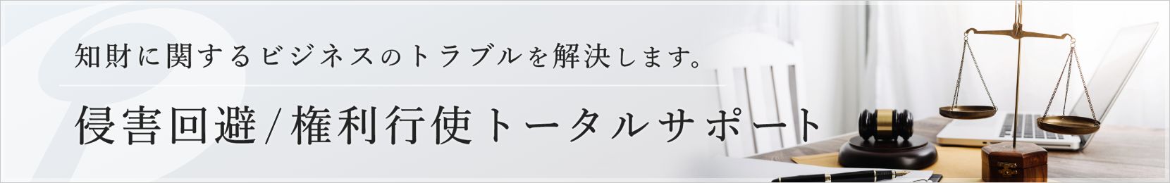 知財に関するビジネスのトラブルを解決するためのサービスとなります。＜侵害回避/権利行使トータルサポート＞